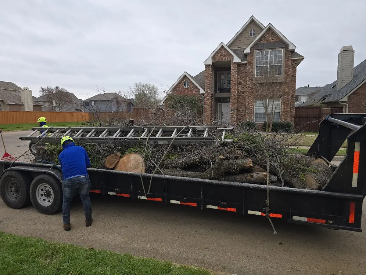 Expert Lot Clearing with proper safety equipment in Dinuba